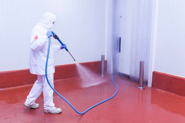 Best Graffiti Removal  in Bigfoot, TX