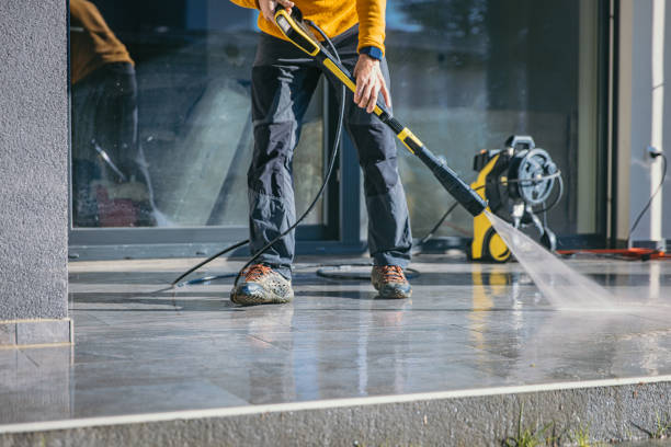 Animal Enclosure Cleaning in Bigfoot, TX